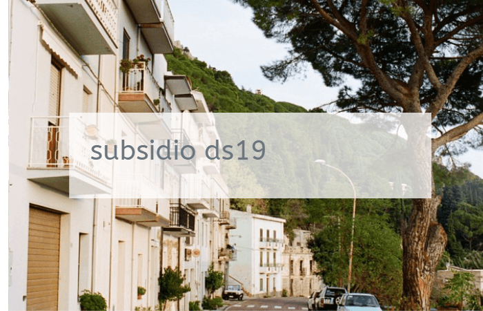 Subsidio ds19 automatico: ¿Qué es y cómo se puede postular?